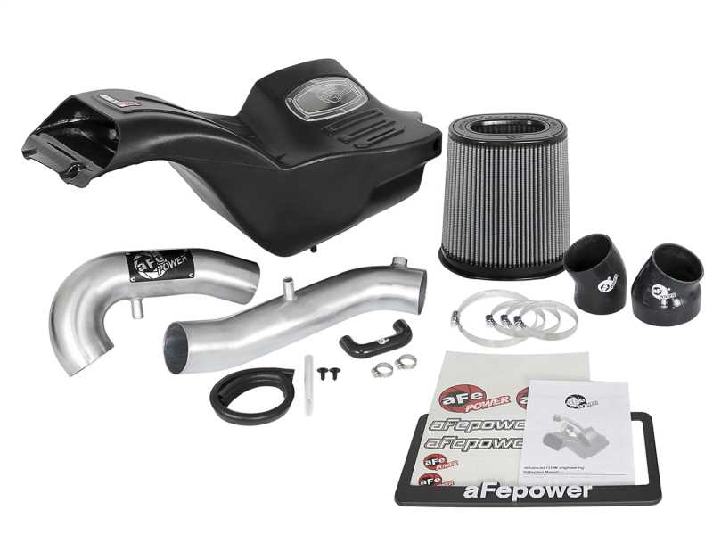 Momentum Pro DRY S Air Intake System 51-73120-H